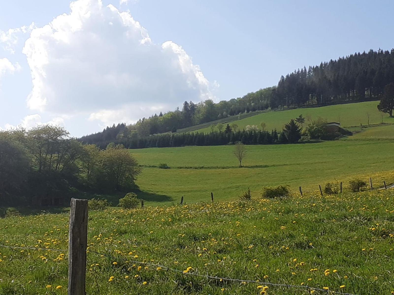 Ferienwohnungen Sternenhimmel Whg 1 Medebach Zewnętrze zdjęcie
