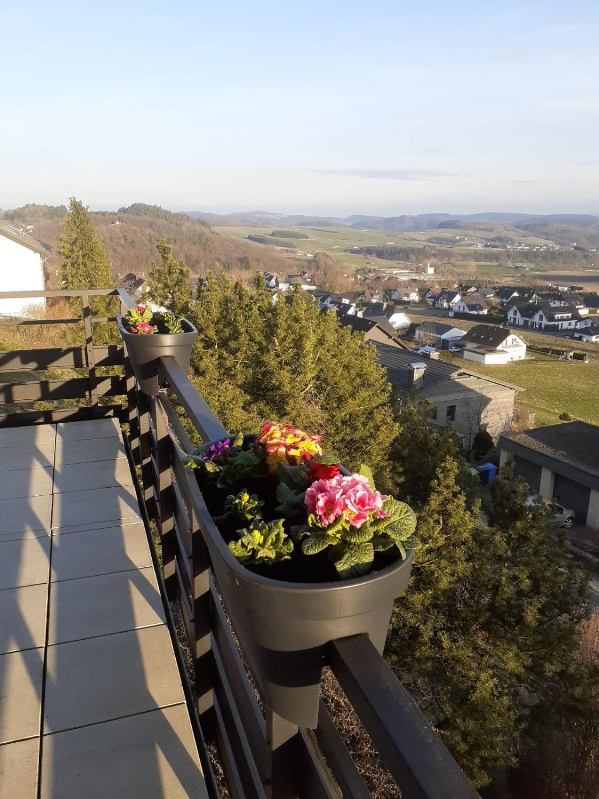 Ferienwohnungen Sternenhimmel Whg 1 Medebach Zewnętrze zdjęcie