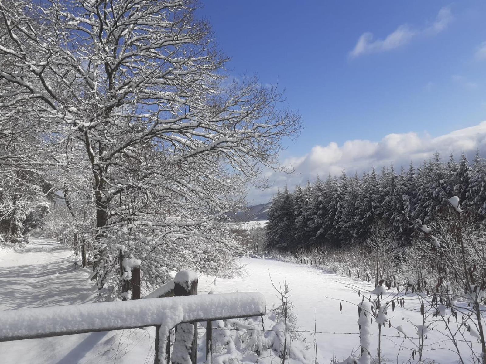 Ferienwohnungen Sternenhimmel Whg 1 Medebach Zewnętrze zdjęcie